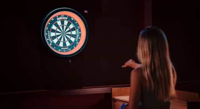 DARTS STANDARD